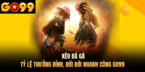 Kèo Đá Gà - Tỷ Lệ Thưởng Đỉnh, Đổi Đời Nhanh Cùng GO99
